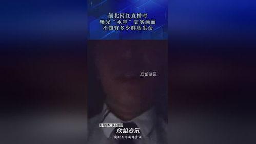 缅北直播爆料最新消息,揭秘神秘势力动态  第3张